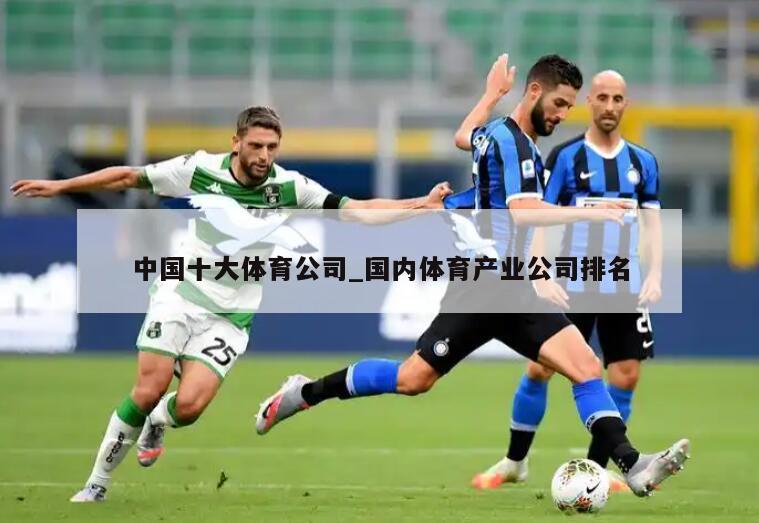 中国十大体育公司_国内体育产业公司排名