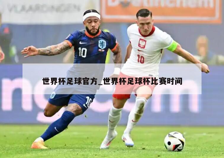 世界杯足球官方_世界杯足球杯比赛时间