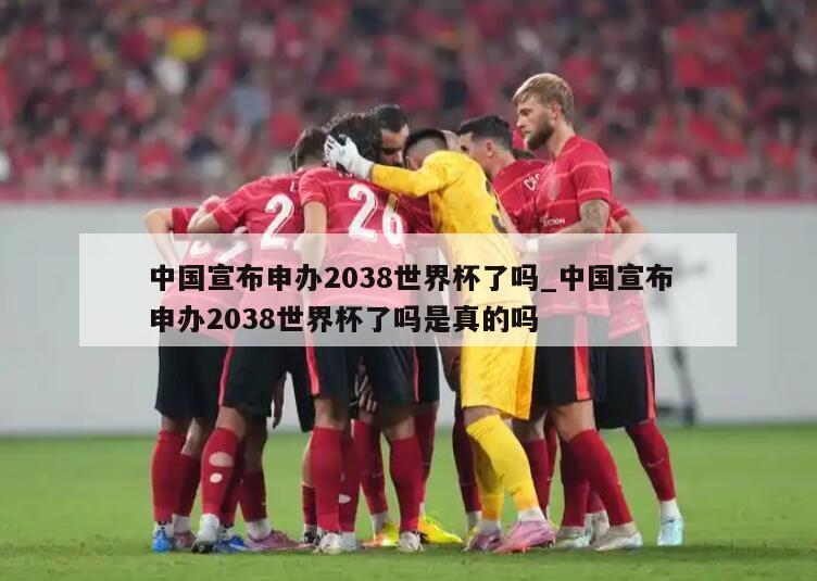 中国宣布申办2038世界杯了吗_中国宣布申办2038世界杯了吗是真的吗