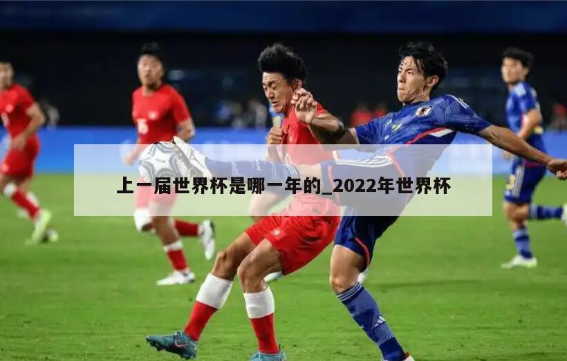 上一届世界杯是哪一年的_2022年世界杯