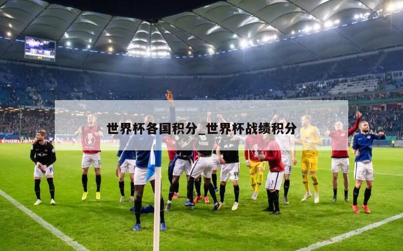 世界杯各国积分_世界杯战绩积分