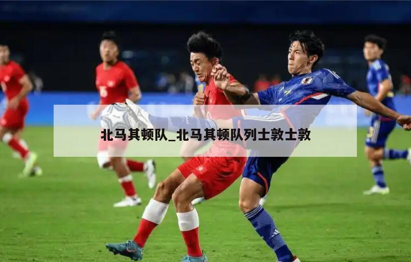 北马其顿队_北马其顿队列士敦士敦