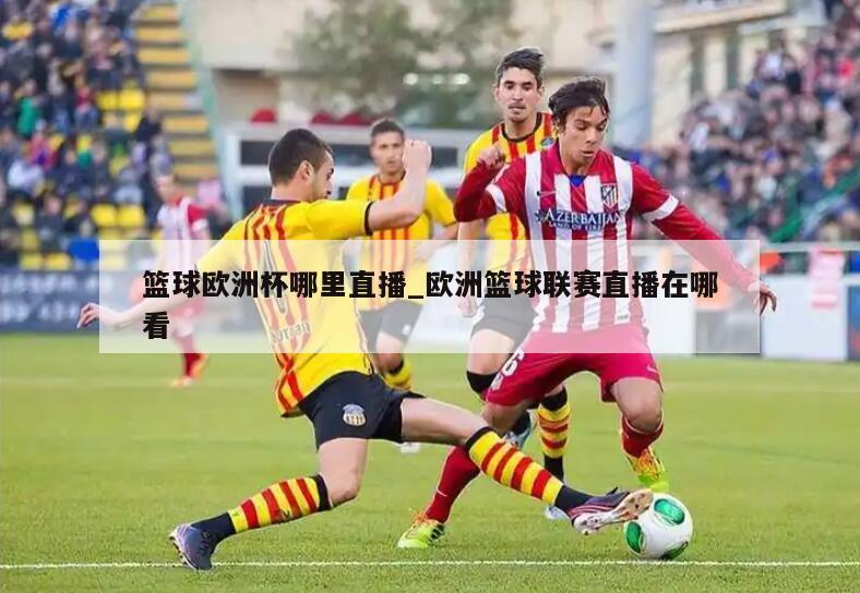 篮球欧洲杯哪里直播_欧洲篮球联赛直播在哪看