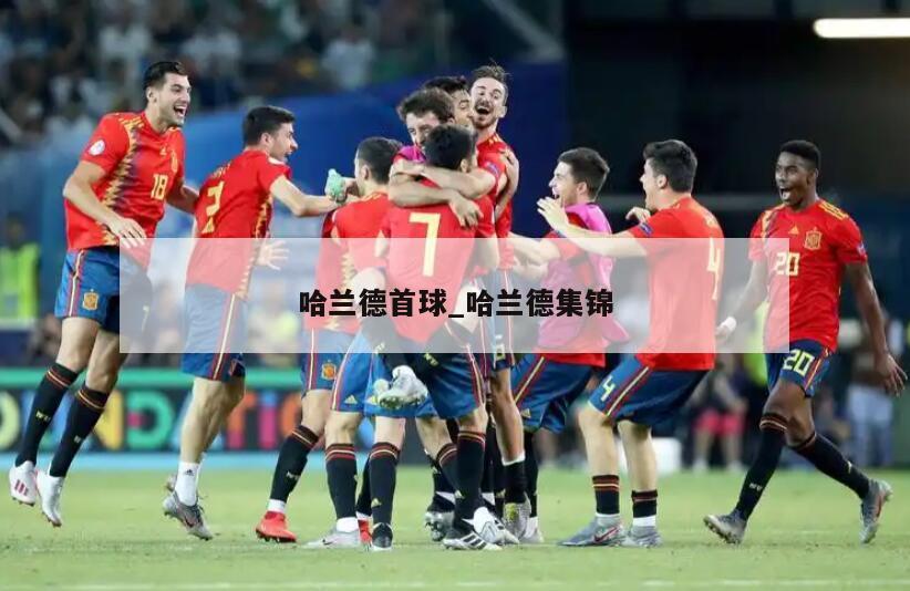 哈兰德首球_哈兰德集锦