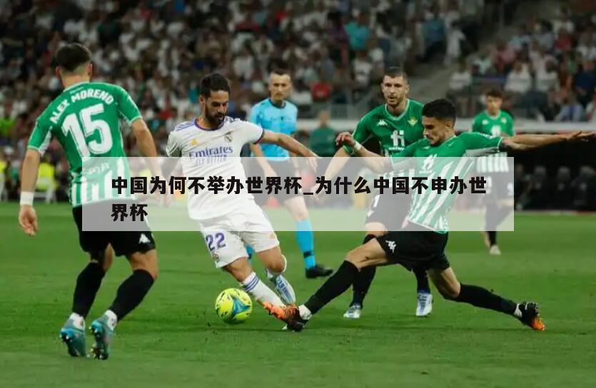中国为何不举办世界杯_为什么中国不申办世界杯