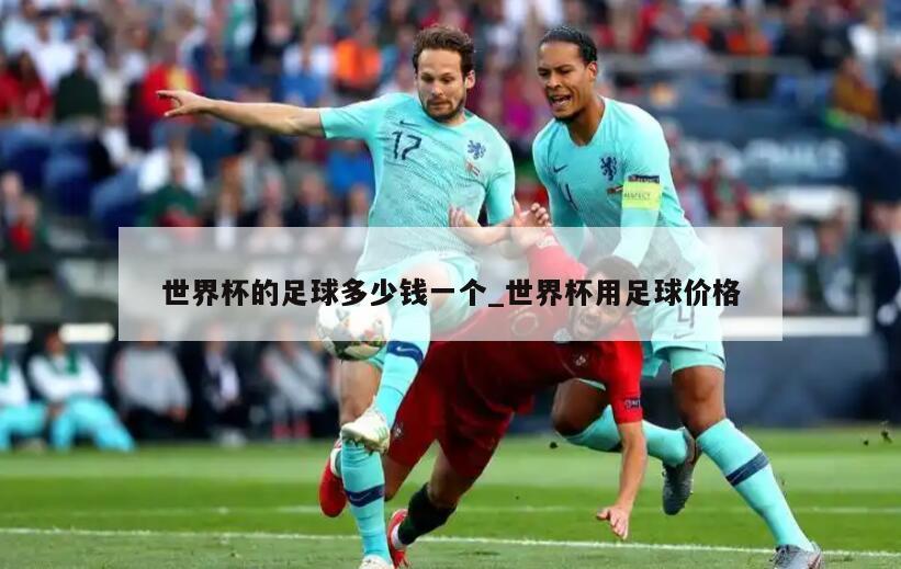 世界杯的足球多少钱一个_世界杯用足球价格