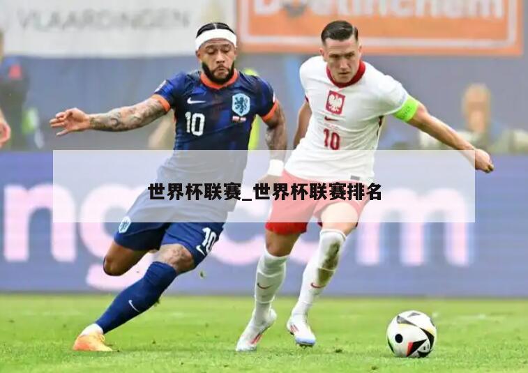 世界杯联赛_世界杯联赛排名