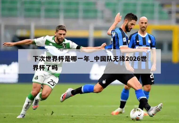 下次世界杯是哪一年_中国队无缘2026世界杯了吗