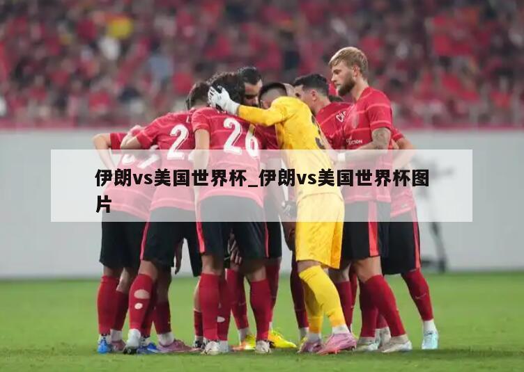 伊朗vs美国世界杯_伊朗vs美国世界杯图片