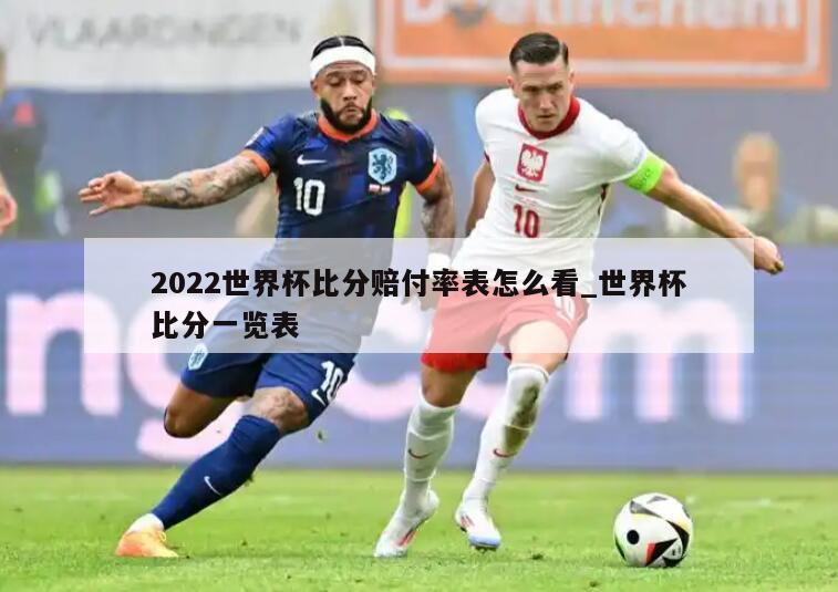 2022世界杯比分赔付率表怎么看_世界杯比分一览表