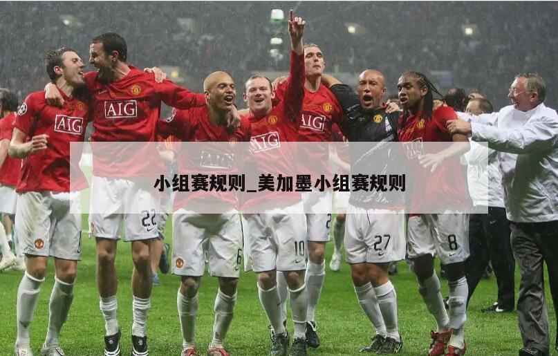 小组赛规则_美加墨小组赛规则