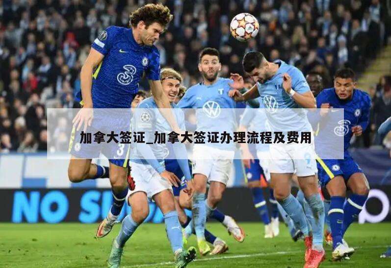 加拿大签证_加拿大签证办理流程及费用
