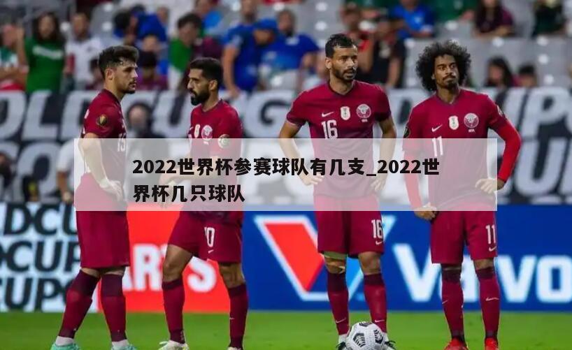 2022世界杯参赛球队有几支_2022世界杯几只球队