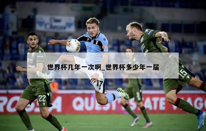 世界杯几年一次啊_世界杯多少年一届