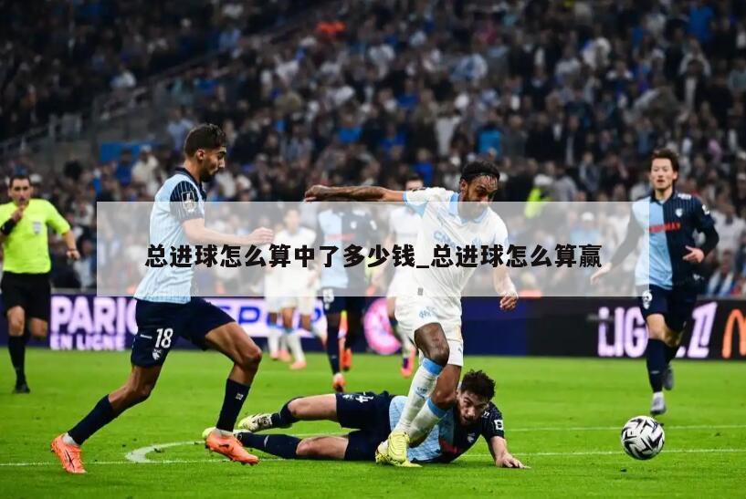 总进球怎么算中了多少钱_总进球怎么算赢