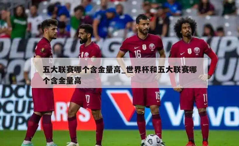 五大联赛哪个含金量高_世界杯和五大联赛哪个含金量高