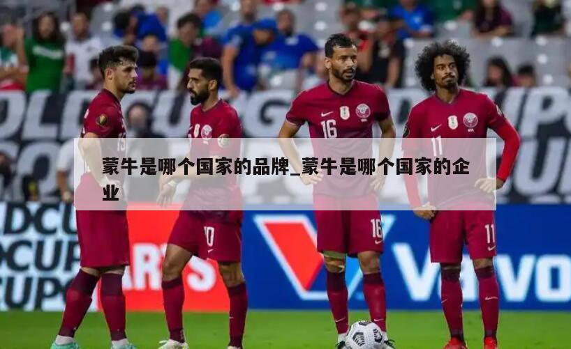 蒙牛是哪个国家的品牌_蒙牛是哪个国家的企业