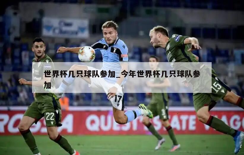 世界杯几只球队参加_今年世界杯几只球队参加