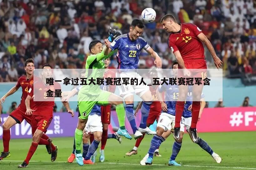 唯一拿过五大联赛冠军的人_五大联赛冠军含金量