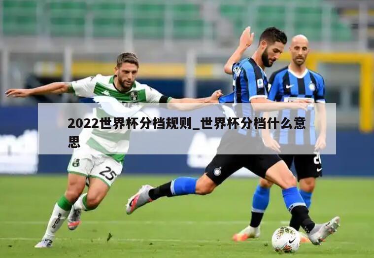 2022世界杯分档规则_世界杯分档什么意思