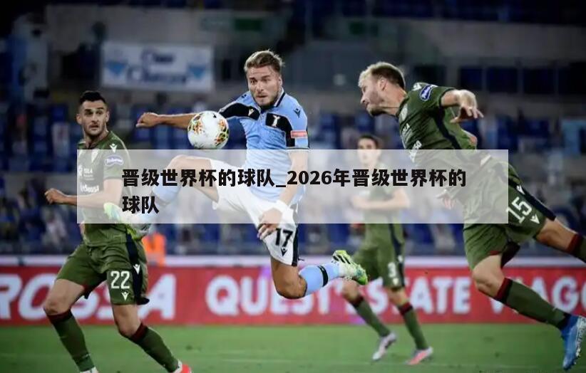 晋级世界杯的球队_2026年晋级世界杯的球队