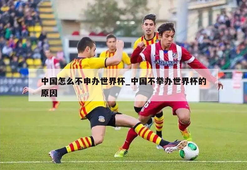 中国怎么不申办世界杯_中国不举办世界杯的原因