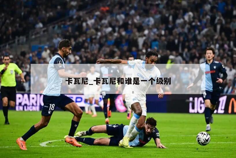 卡瓦尼_卡瓦尼和谁是一个级别