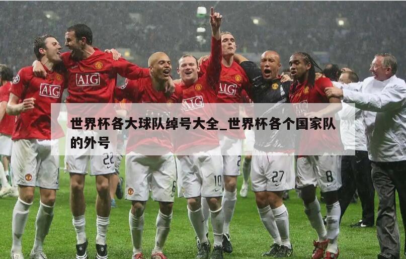 世界杯各大球队绰号大全_世界杯各个国家队的外号
