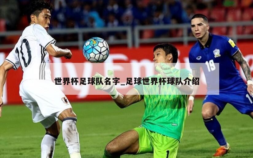 世界杯足球队名字_足球世界杯球队介绍