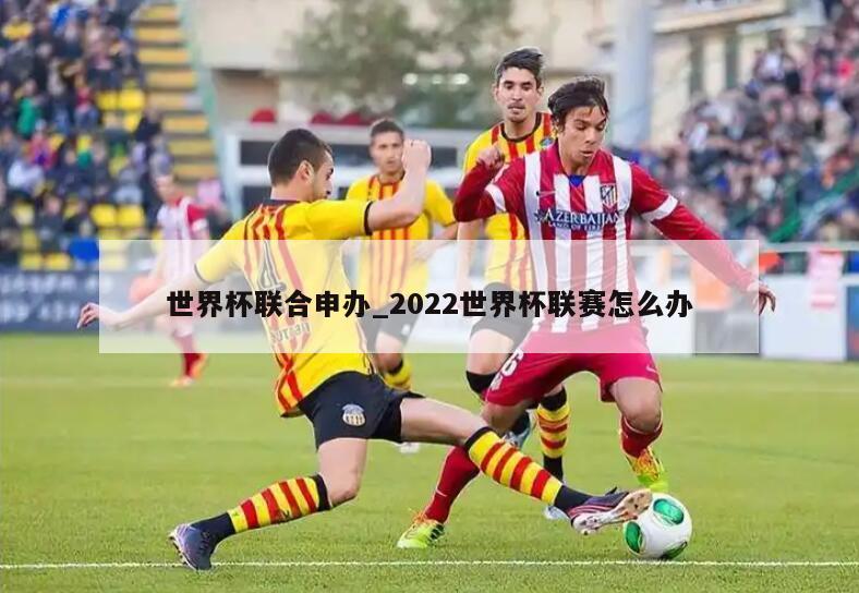 世界杯联合申办_2022世界杯联赛怎么办