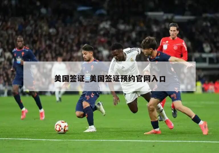 美国签证_美国签证预约官网入口