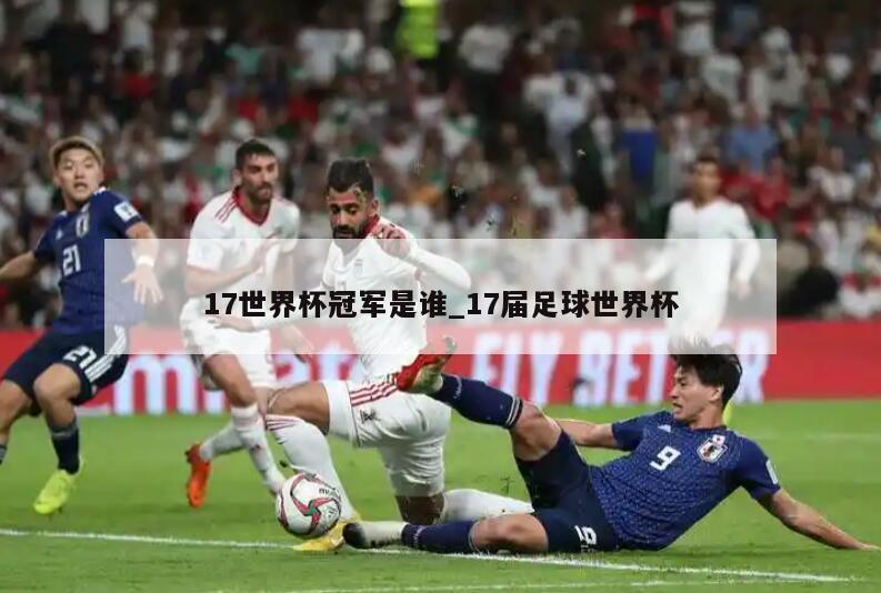 17世界杯冠军是谁_17届足球世界杯